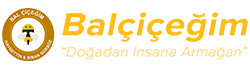Balçiçeğim Logo