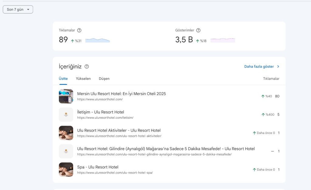 Vaka analizi: Ulu Resort Hotel SEO Başarımız: Dijital Otorite İnşası ve 5 Adımda Rekabetten Zirveye Yolculuk