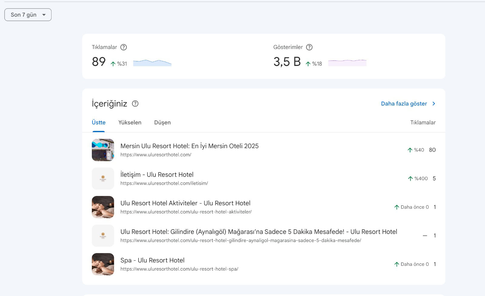 Ulu Resort Hotel SEO Başarımız: Dijital Otorite İnşası ve 5 Adımda Rekabetten Zirveye Yolculuk görsel 1